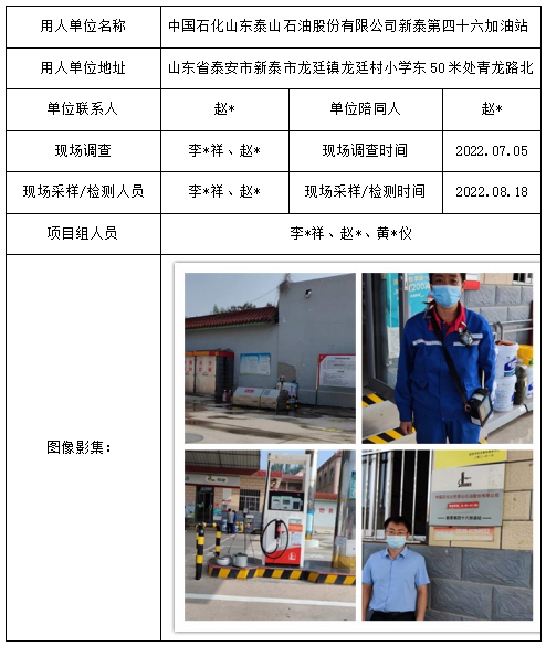 中国石化山东泰山石油股份有限公司新泰第四十六加油站