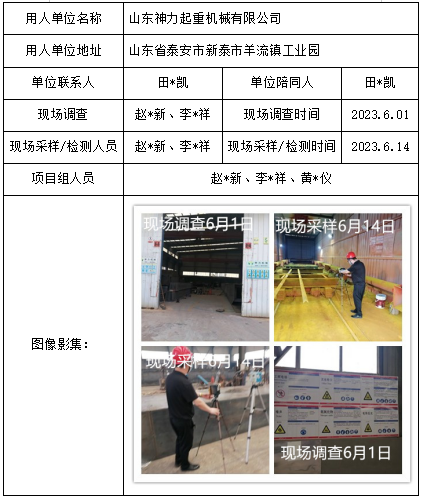 山东神力起重机械有限公司