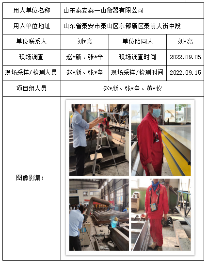 山东泰安泰一山衡器有限公司