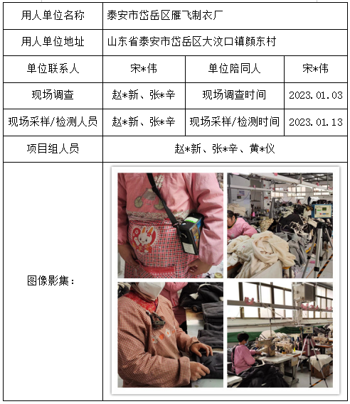 泰安市岱岳区雁飞制衣厂